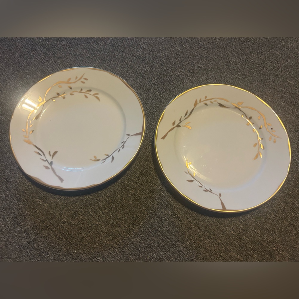 Apilco plate set of two.
